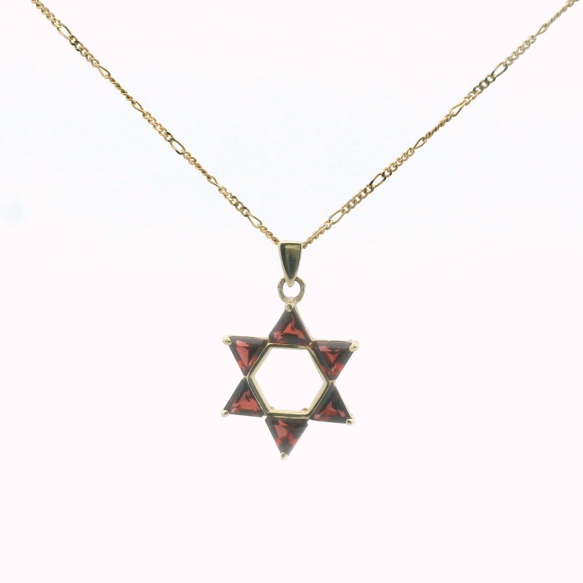 14K Yellow Gold Garnet Star of David Necklace