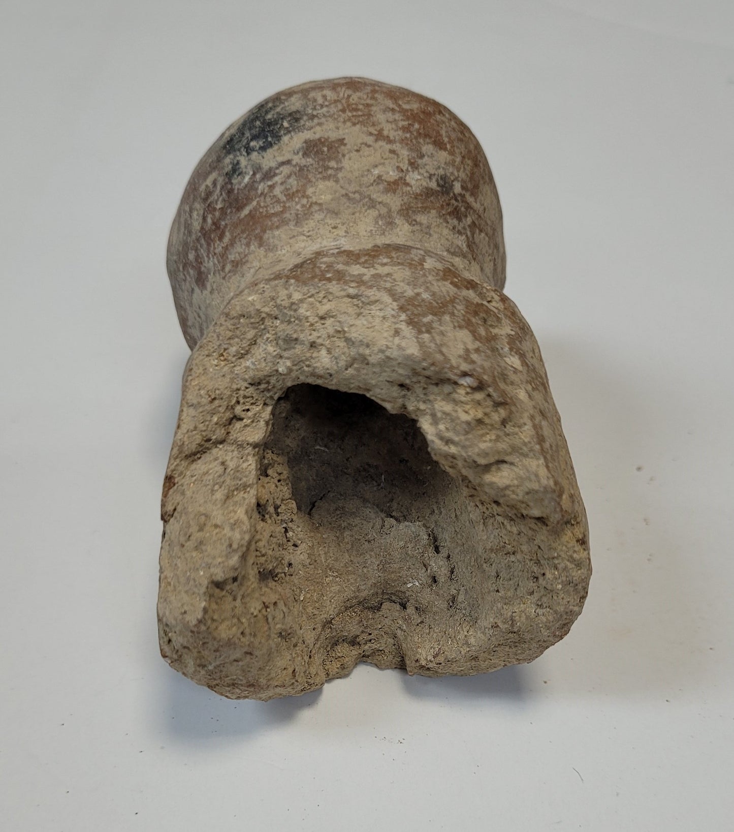 Pre-Columbian Ceramic Jaguar Head Vessel Fragment