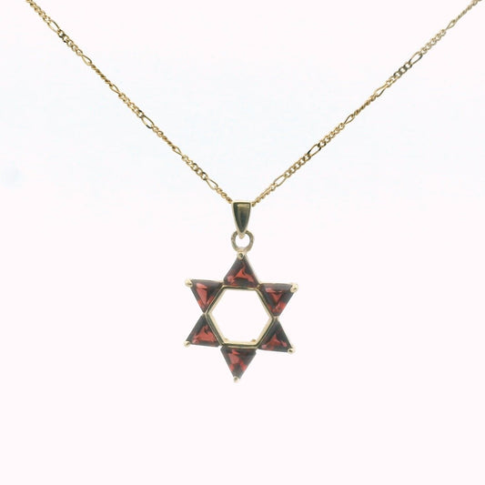 14K Yellow Gold Garnet Star of David Necklace