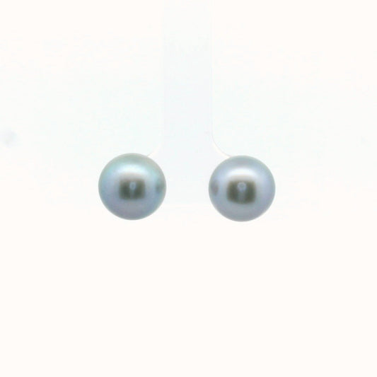 14K White Gold Gray Cultured Pearl Stud Earrings