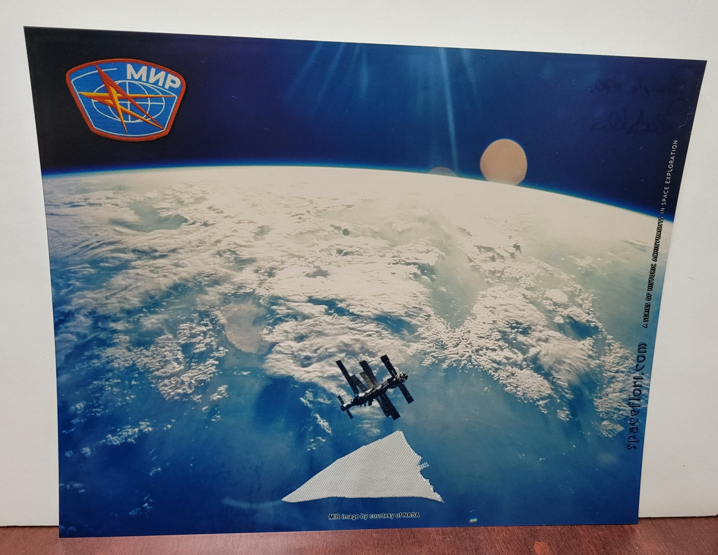 Space Sample MIR Penguin Suit Bag