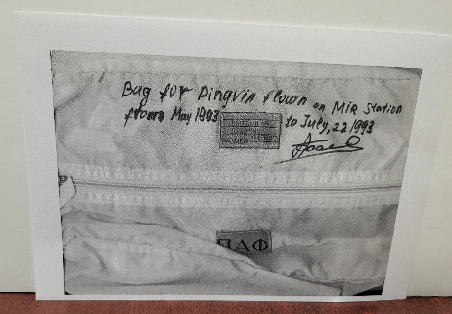 Space Sample MIR Penguin Suit Bag