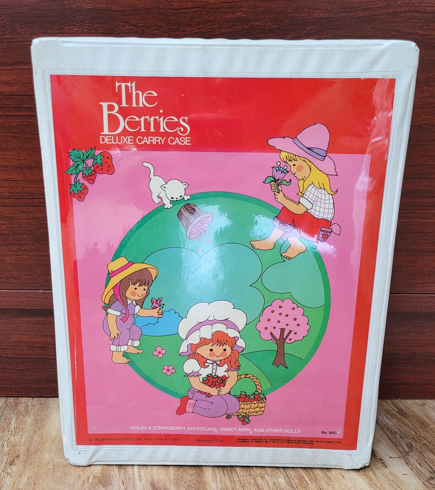 Strawberry Shortcake Case Lot