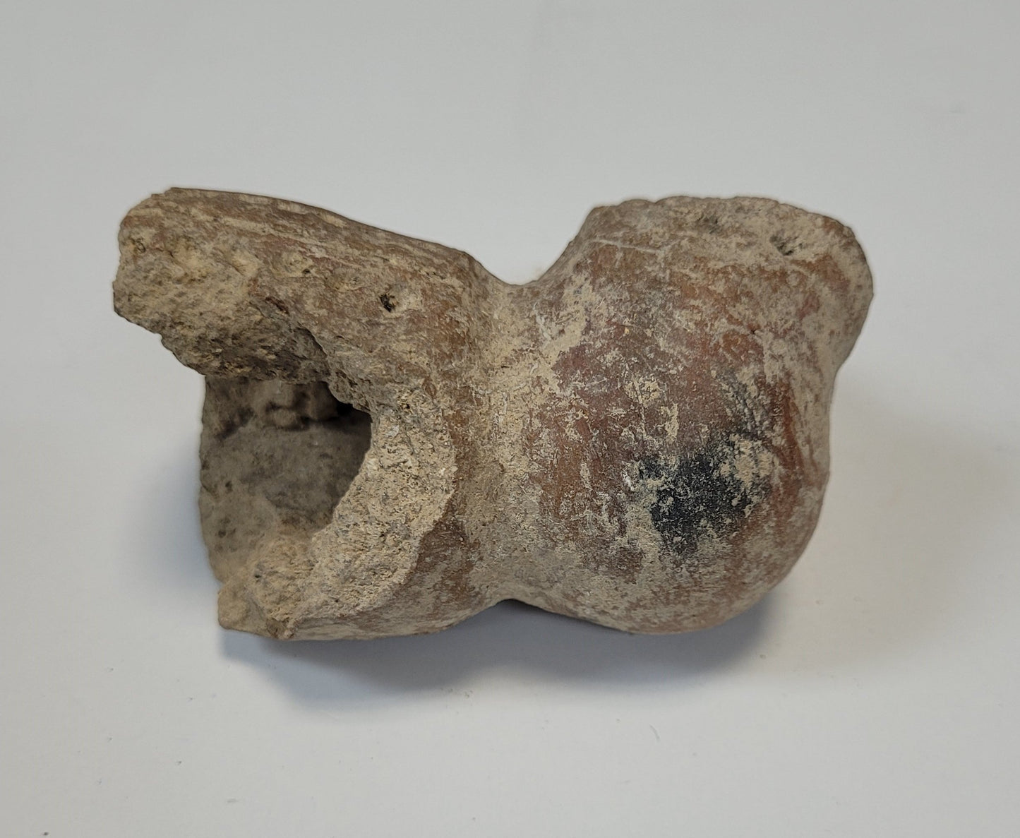 Pre-Columbian Ceramic Jaguar Head Vessel Fragment